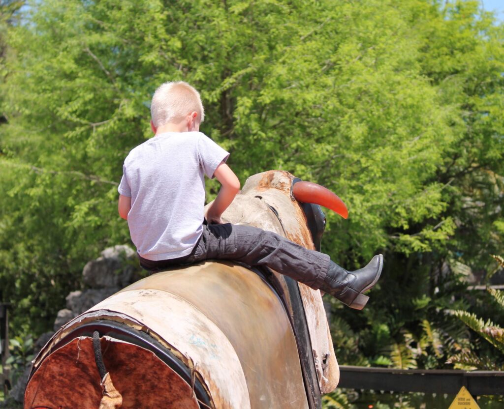 How to Have Safe Fun with a Mechanical Bull